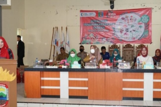 Ketua TP PKK Kabupaten Lamsel Hadiri Sosialisasi Konsumsi Pangan Beragam Bergizi Seimbang dan Aman