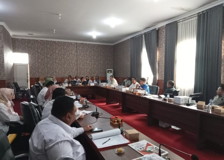 Pansus DPRD Lamsel Soroti Parkir – Pelayanan di RSUD Bob Bazar Kalianda