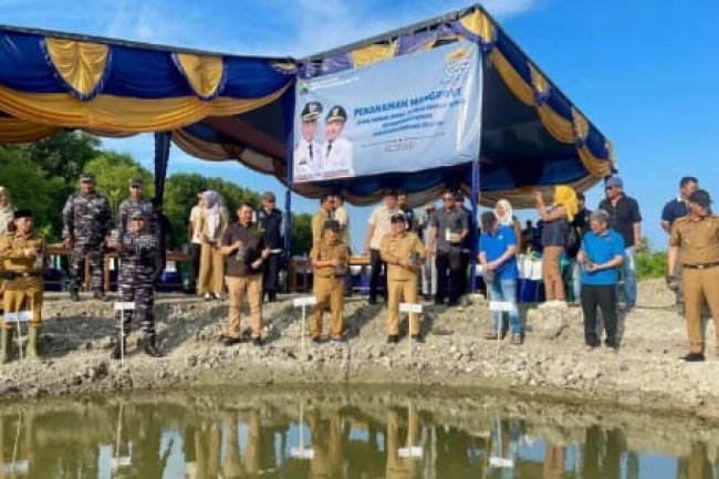 Penanaman Mangrove Serentak, Wakil Bupati dan Anggota DPRD Lampung Selatan Tanam Mangrove di Desa Ruguk 