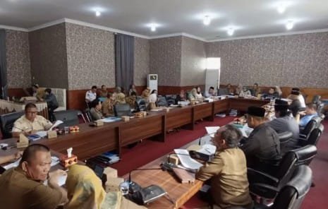 Kepala Dinas Perhubungan Harrison Dapat Kritikan Pedas Dari Wakil Ketua I DPRD Lampung Selatan Merik Havit