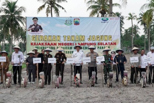 Aksi Nyata! Bupati Egi dan Kajati Tanam Jagung Bareng, Demi Ketahanan Pangan & Kesejahteraan Petani