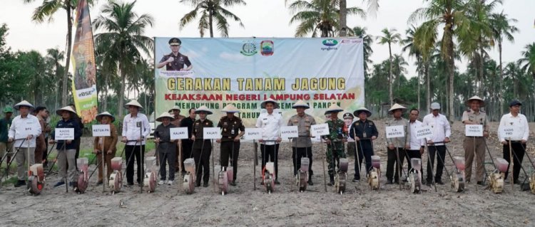Aksi Nyata! Bupati Egi dan Kajati Tanam Jagung Bareng, Demi Ketahanan Pangan & Kesejahteraan Petani