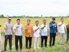 Padi Biosalin, Inovasi Cerdas Ubah Tambak Asin Jadi Sawah Produktif di Lampung Selatan