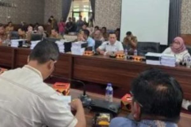 Anggota DPRD Desak Pemerintah Prioritaskan Perbaikan SDN Purwodadi dan Jembatan Way Galih