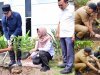 5.792 PPPK Paruh Waktu Lampung Selatan Tanam Pohon Serentak, Kampanye “Pohon Asuh” Gaungkan Gerakan Hijau dari Birokrasi