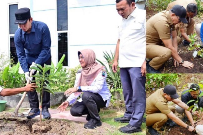 5.792 PPPK Paruh Waktu Lampung Selatan Tanam Pohon Serentak, Kampanye “Pohon Asuh” Gaungkan Gerakan Hijau dari Birokrasi