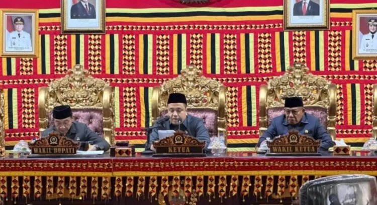 Ngobrol Sendiri Saat Rapat Paripurna di DPRD Lampung Selatan, Merik Havit Tegur Pejabat